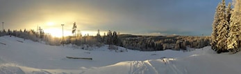Fine forhold i bakken !